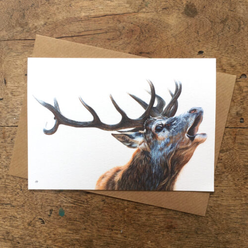 Bellowing Stag Notecards