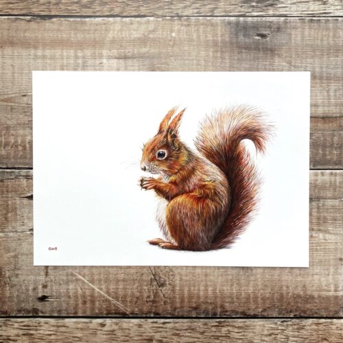 Dennis unmounted print