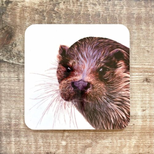 Otter Coaster