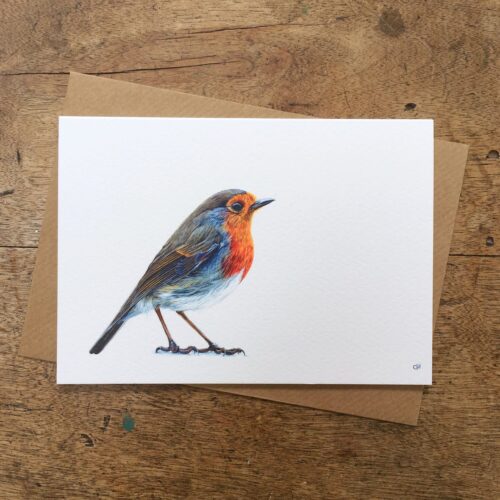 Robin Christmas Cards