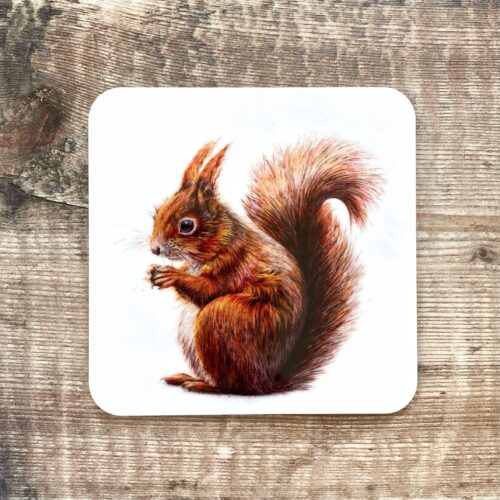 Red Squirrel Coaster