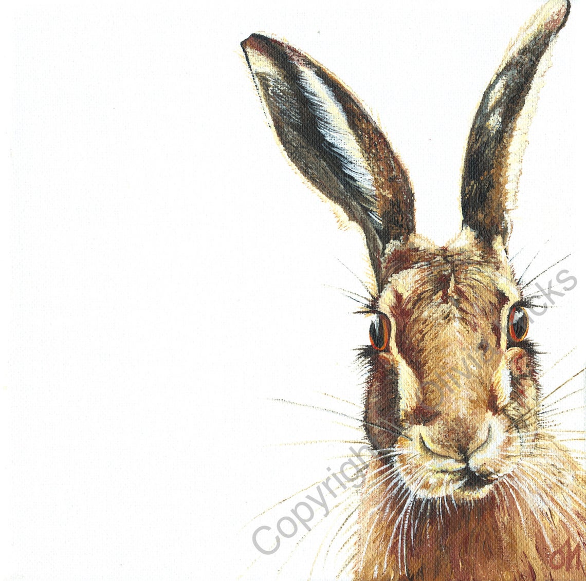 Hare - Image 2
