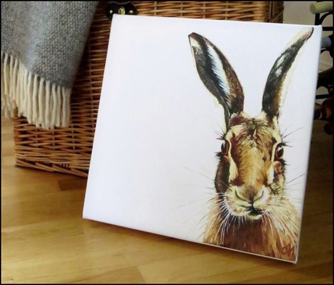 Hare - Image 3