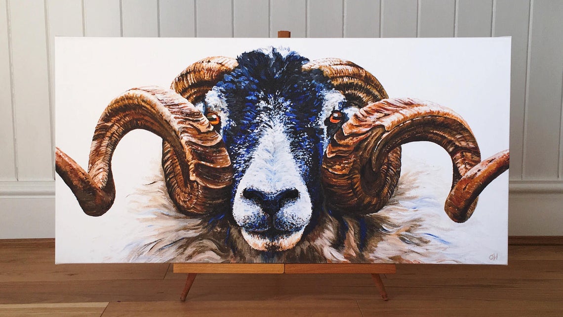 Swaledale Ram