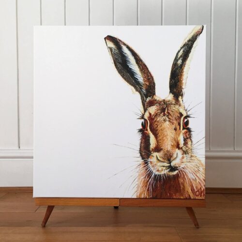 Hare