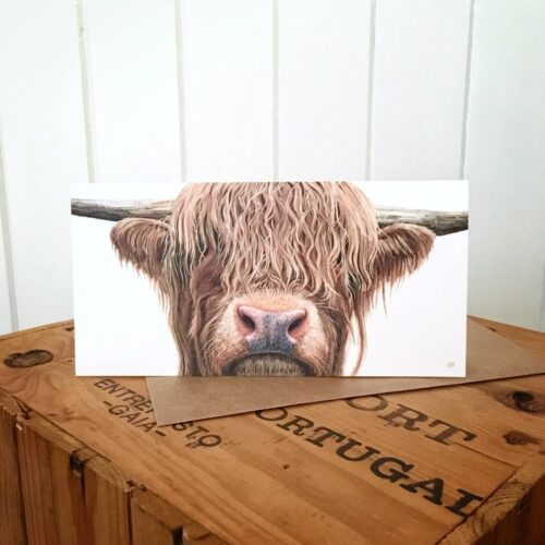 Highland Cow Greetings Card