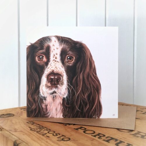 Springer Spaniel Greetings Card