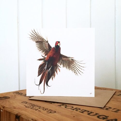 Flushed Pheasant Greetings Card