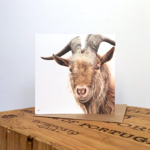 Golden Guernsey Goat Greetings Card