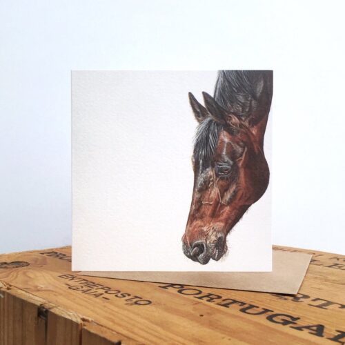 Horse Greetings Card