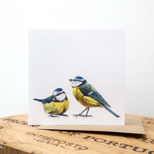 Blue Tits Greetings Card