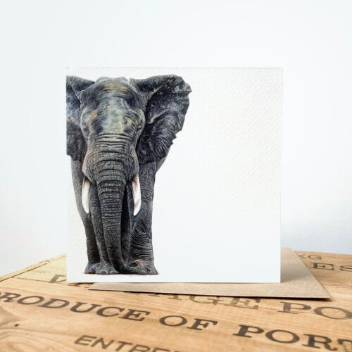 Elephant Greetings Card