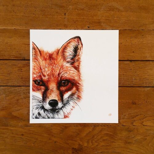 Fox unmounted print