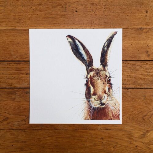 Hare unmounted print