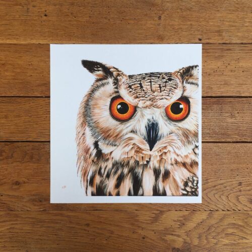 Eagle Owl unmounted print