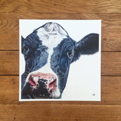 Holstein-Friesian Cow unmounted print