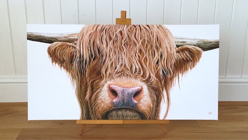 Highland Cow