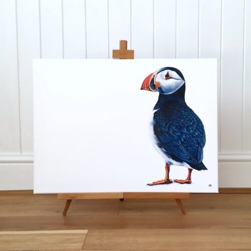Puffin
