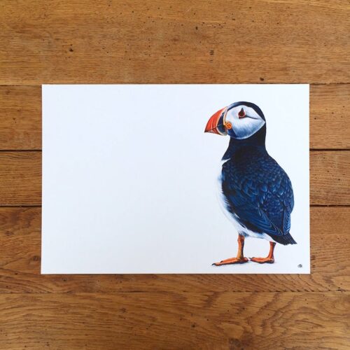 Puffin unmounted print