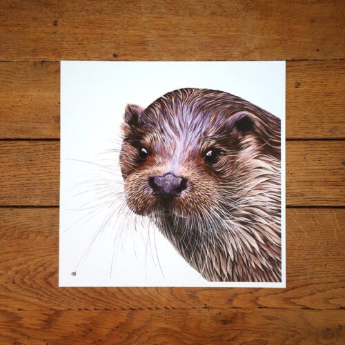 Otter unmounted print