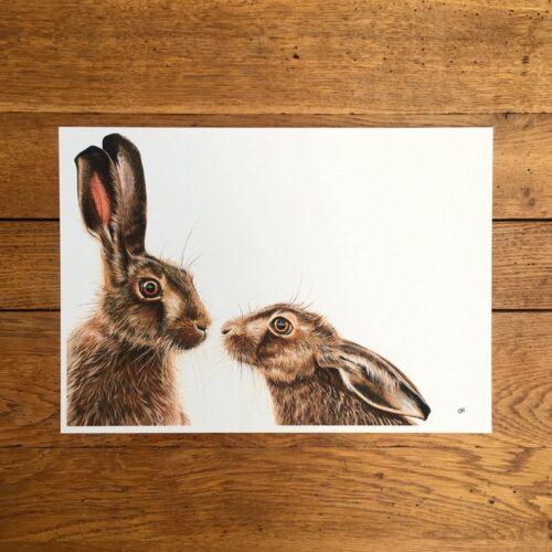Kissing Hares unmounted print