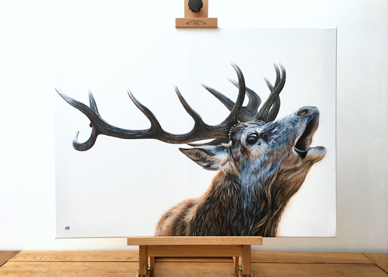 Bellowing Stag