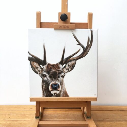 Stag
