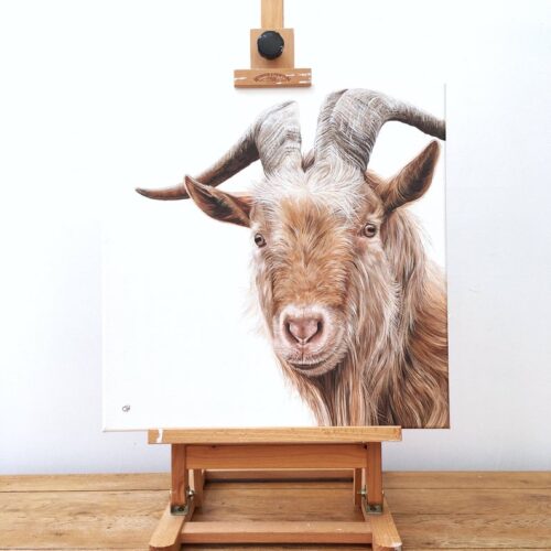 Golden Guernsey Goat