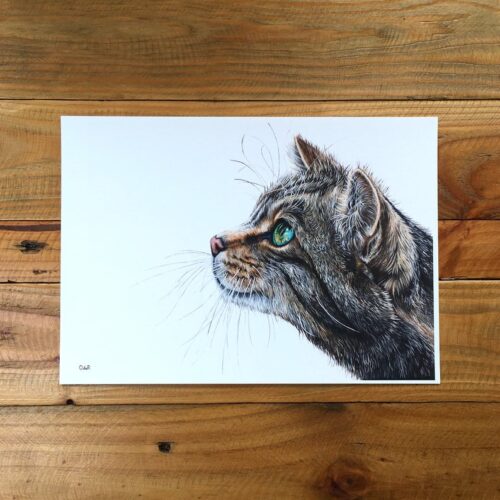 William unmounted print