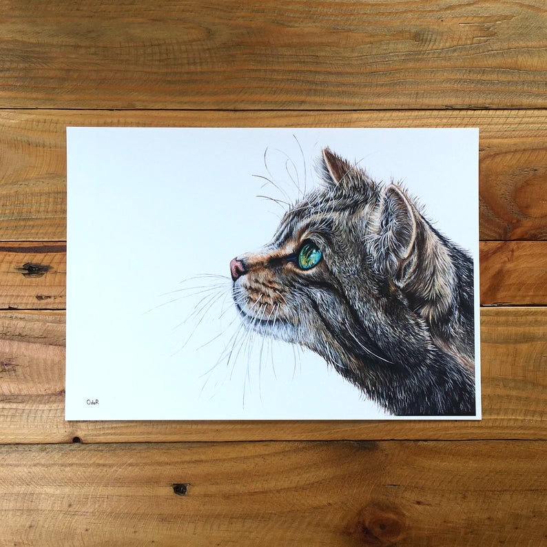 William unmounted print