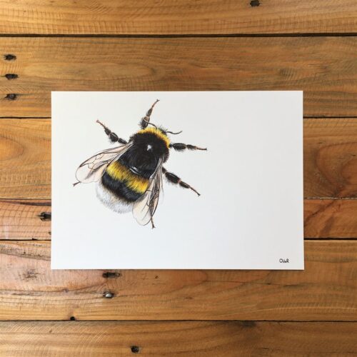 Brigid unmounted print