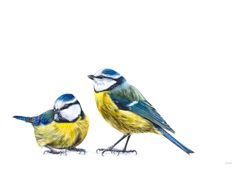 Jack and Margo unmounted print - Image 2