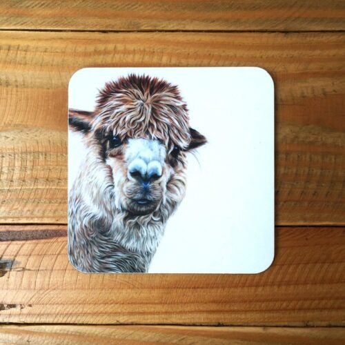 Alpaca Coaster